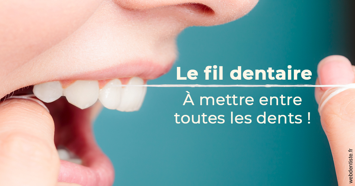 https://dr-baudouin-gilles.chirurgiens-dentistes.fr/Le fil dentaire 2