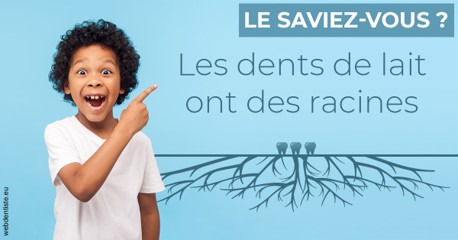 https://dr-baudouin-gilles.chirurgiens-dentistes.fr/Les dents de lait 2