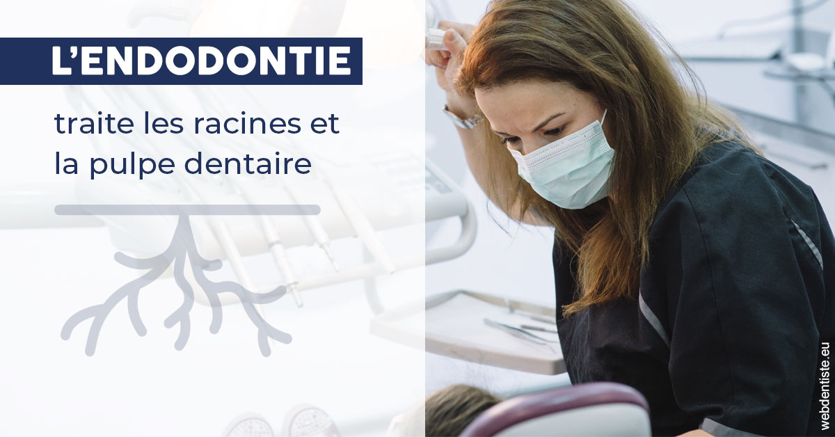 https://dr-baudouin-gilles.chirurgiens-dentistes.fr/L'endodontie 1