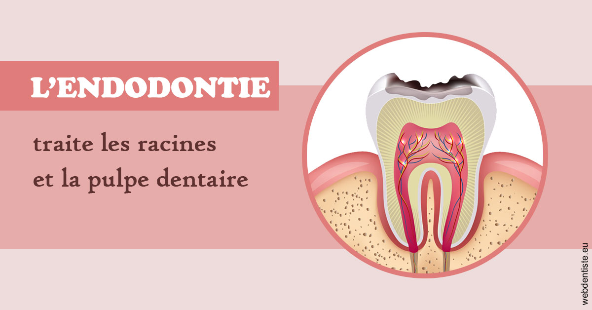 https://dr-baudouin-gilles.chirurgiens-dentistes.fr/L'endodontie 2