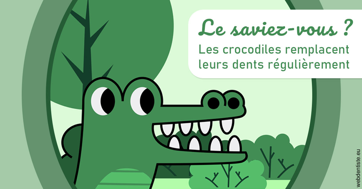 https://dr-baudouin-gilles.chirurgiens-dentistes.fr/Crocodiles 2
