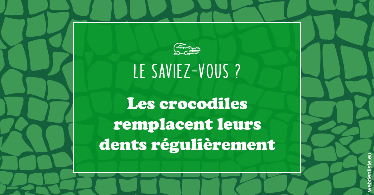 https://dr-baudouin-gilles.chirurgiens-dentistes.fr/Crocodiles 1